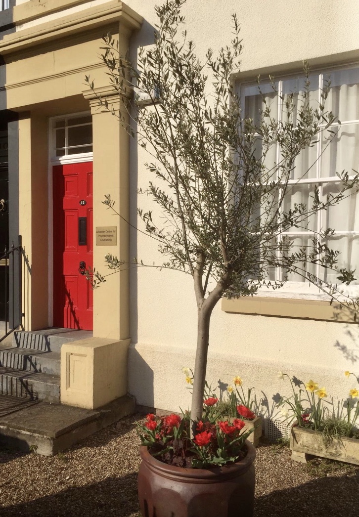 Tree and flowers outside front door